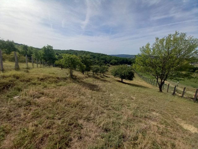 Eladó telek, Őrbottyánban 86.5 M Ft / költözzbe.hu