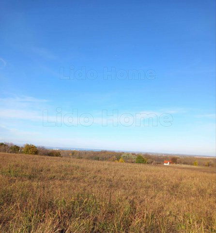 Eladó mezogazdasagi ingatlan, Siófokon 20 M Ft