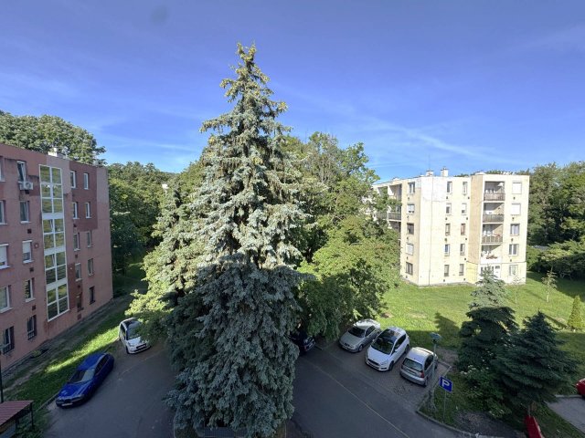 Eladó téglalakás, Miskolcon 31.9 M Ft, 1+2 szobás