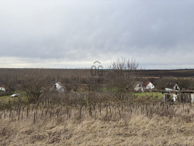 Eladó mezogazdasagi ingatlan, Ádándon 9.9 M Ft