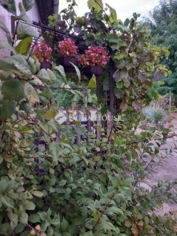 Eladó családi ház, Kecskeméten 74.9 M Ft, 4 szobás