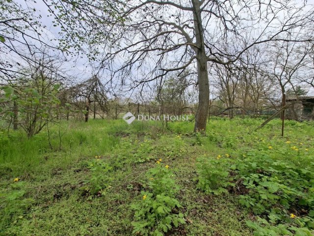 Eladó telek, Tóalmáson 13 M Ft / költözzbe.hu