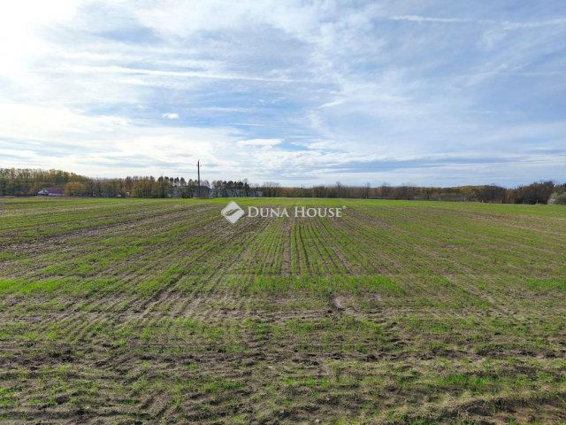 Eladó telek, Farmoson 9.9 M Ft / költözzbe.hu