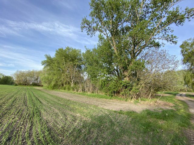 Eladó telek, Komáromban 1.65 M Ft / költözzbe.hu