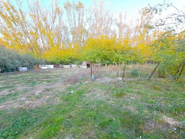 Eladó mezogazdasagi ingatlan, Lakitelken 16 M Ft, 3 szobás