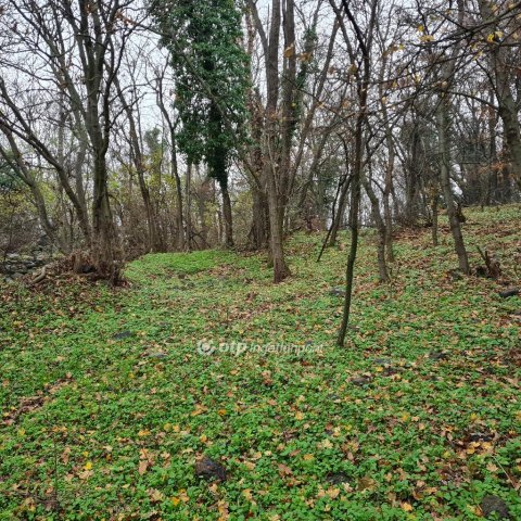 Eladó telek, Tapolcán 6.55 M Ft / költözzbe.hu