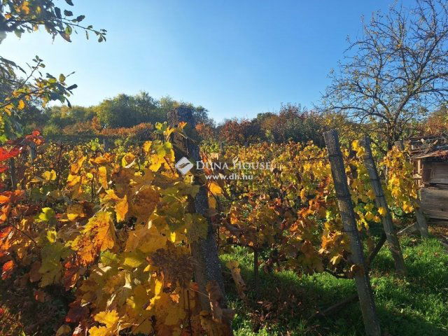 Eladó nyaraló, Zámolyon 8.5 M Ft, 3 szobás