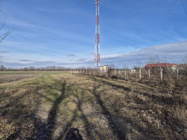 Eladó telek, Szigetcsépen 22 M Ft / költözzbe.hu