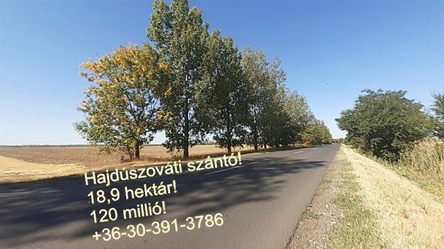 Eladó mezogazdasagi ingatlan, Hajdúszováton 120 M Ft