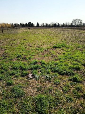 Eladó telek, Balatonvilágoson 43 M Ft / költözzbe.hu