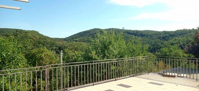 Eladó családi ház, Biatorbágyon, Naphegy közben 220 M Ft