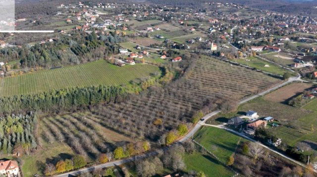 Eladó mezogazdasagi ingatlan, Cserszegtomajon 59 M Ft