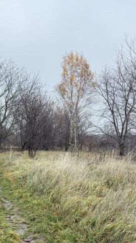 Eladó telek, Budapesten, XVII. kerületben, Kopolya utcában