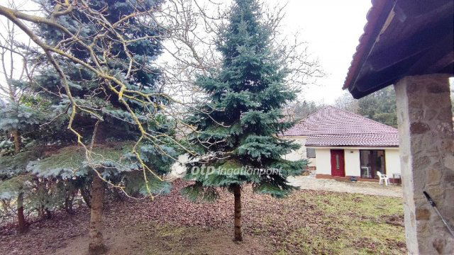 Eladó családi ház, Hévízen 100 M Ft, 6 szobás