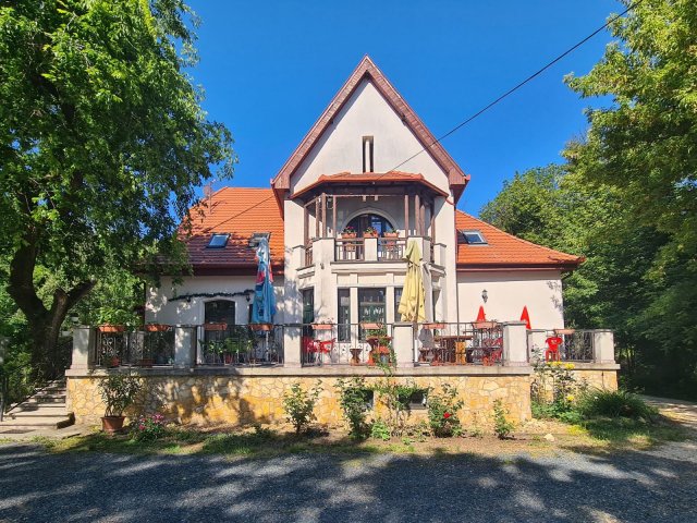 Eladó hotel, Celldömölkön 295 M Ft, 6 szobás