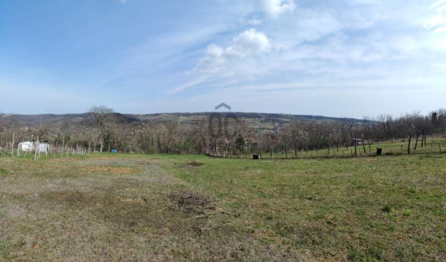 Eladó mezogazdasagi ingatlan, Szekszárdon 2.5 M Ft