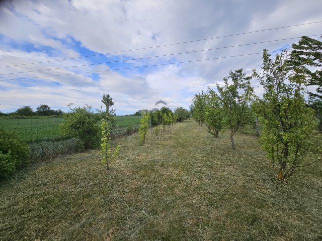 Eladó telek, Kőszegen 2.5 M Ft / költözzbe.hu