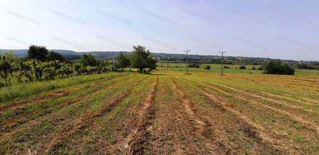 Eladó telek, Kőröshegyen 22 M Ft / költözzbe.hu