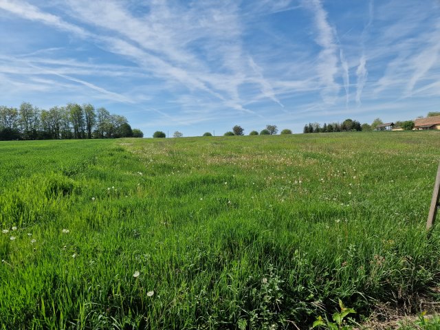 Eladó családi ház, Hegyhátmarócon 79 M Ft, 4 szobás