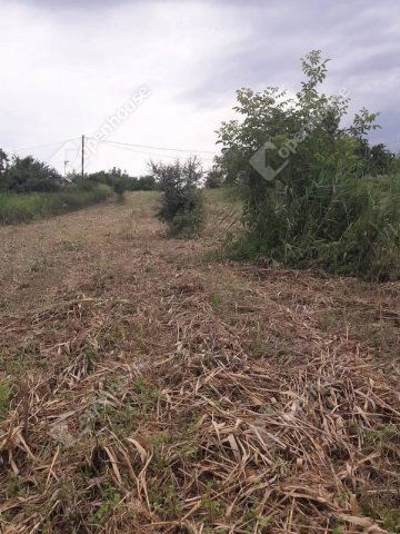 Eladó telek, Balatonszabadiban 7 M Ft / költözzbe.hu