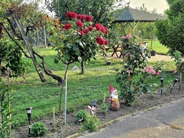 Eladó családi ház, Kővágószőlősön 85 M Ft, 4+2 szobás