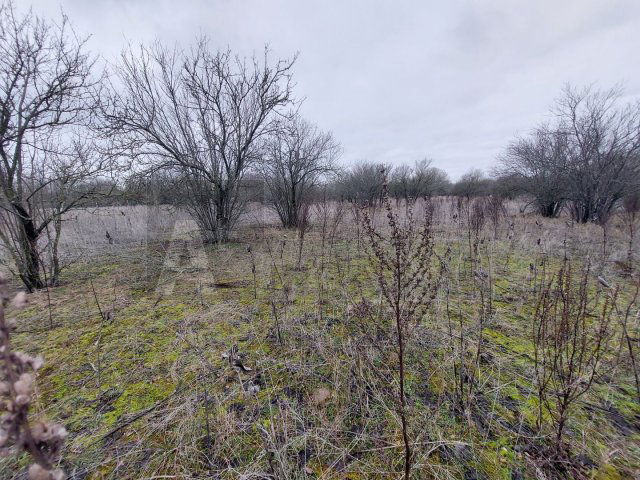 Eladó mezogazdasagi ingatlan, Röszkén 5 M Ft