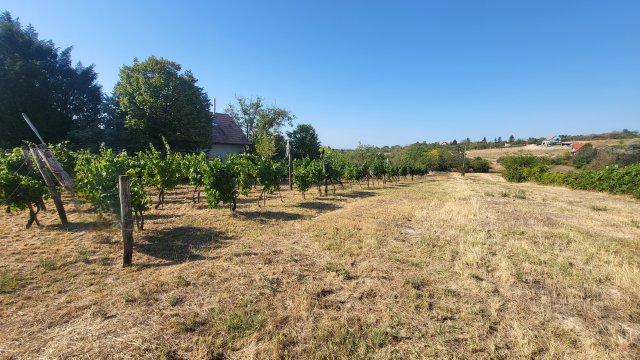 Eladó telek, Balatonkenesén 28 M Ft / költözzbe.hu