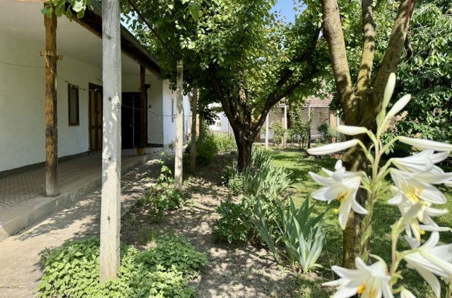 Eladó családi ház, Békéscsabán 17.9 M Ft, 1 szobás