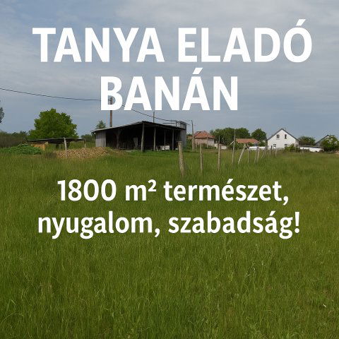 Eladó mezogazdasagi ingatlan, Banán 4.8 M Ft