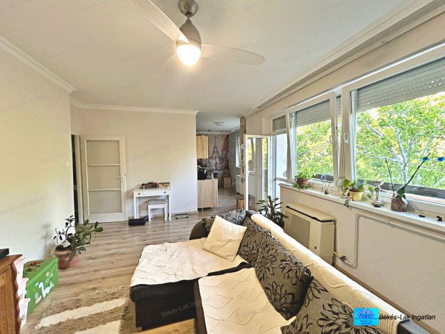 Eladó téglalakás, Békéscsabán 45 M Ft, 3 szobás