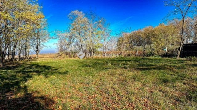 Eladó családi ház, Lajoskomáromban 19.7 M Ft, 2 szobás