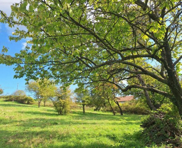 Eladó mezogazdasagi ingatlan, Nagygörbőn 9.8 M Ft