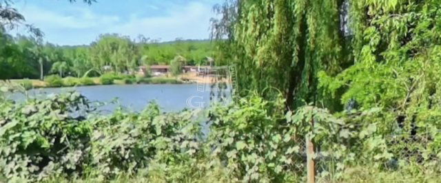 Eladó mezogazdasagi ingatlan, Domonyban 8.9 M Ft