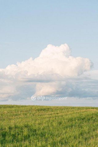 Eladó mezogazdasagi ingatlan, Kelebián 11.58 M Ft