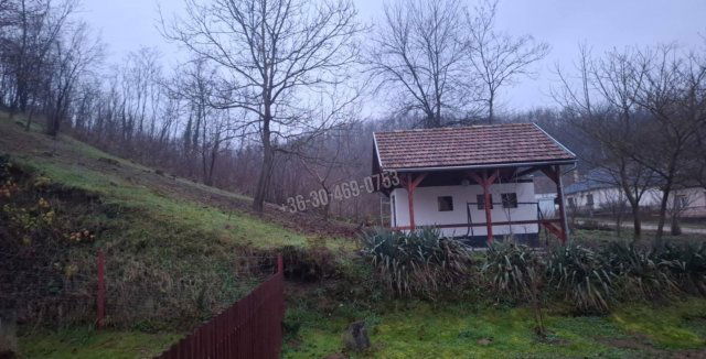 Kiadó családi ház, albérlet, Tolmácson 100 E Ft / hó, 1 szobás