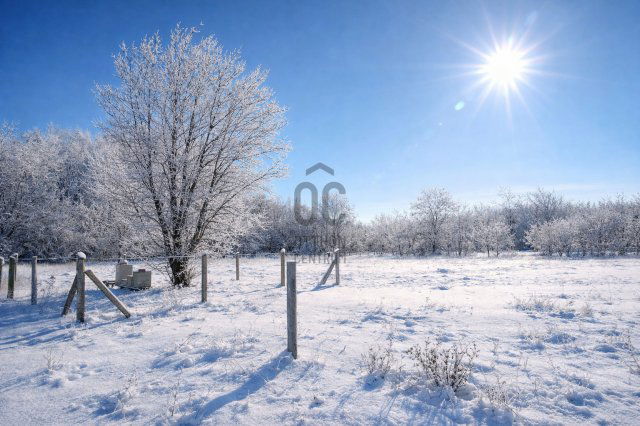 Eladó mezogazdasagi ingatlan, Budapesten, XVII. kerületben 6 M Ft