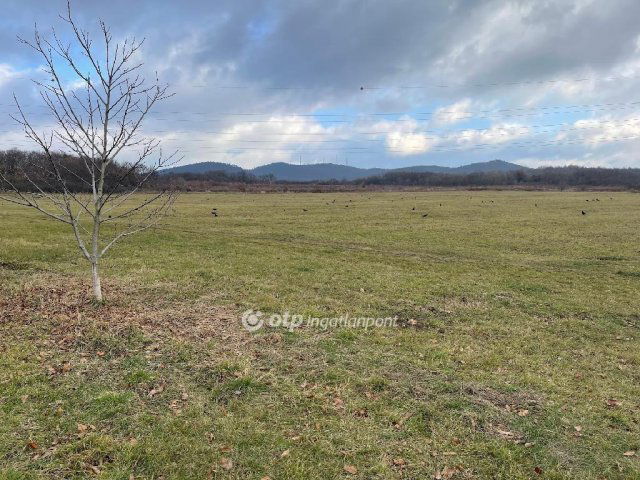 Eladó telek, Budapesten, II. kerületben 35 M Ft