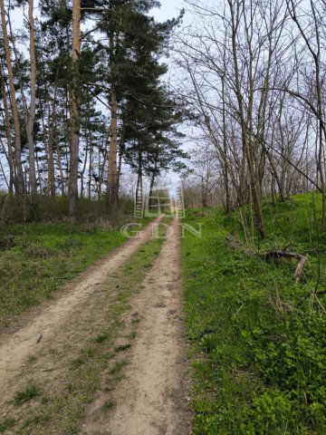 Eladó mezogazdasagi ingatlan, Hévízgyörkön 14.99 M Ft