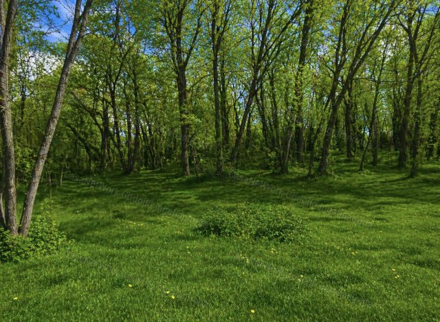 Eladó telek, Veresegyházon 59 M Ft / költözzbe.hu