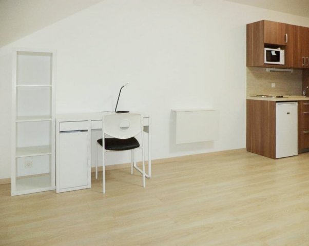 Kiadó téglalakás, albérlet, Pécsett, Király utcában, 1 szobás