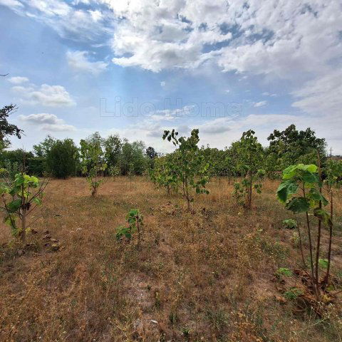 Eladó telek, Mezőkomáromban 2.99 M Ft / költözzbe.hu