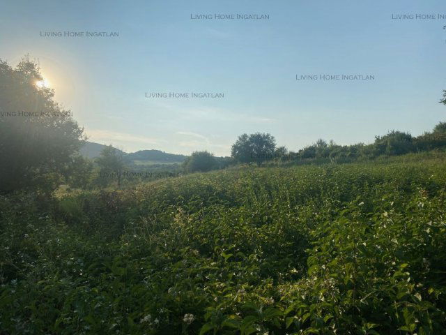 Eladó telek, Szentendrén 15.8 M Ft / költözzbe.hu