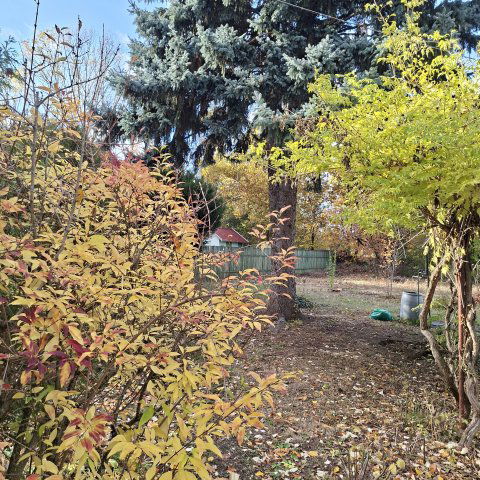 Eladó nyaraló, Szolnokon, Emese utcában 22.8 M Ft, 1 szobás