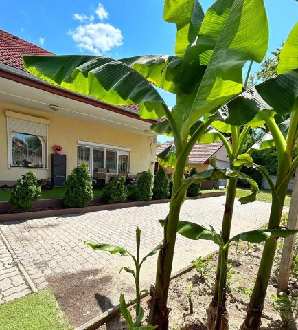 Eladó családi ház, Baján, Nagy Lajos Király utcában 135 M Ft