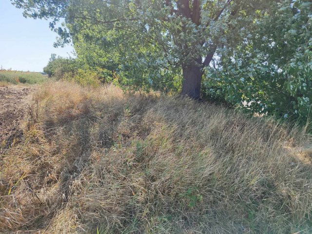 Eladó telek, Kerecsenden 3.9 M Ft / költözzbe.hu
