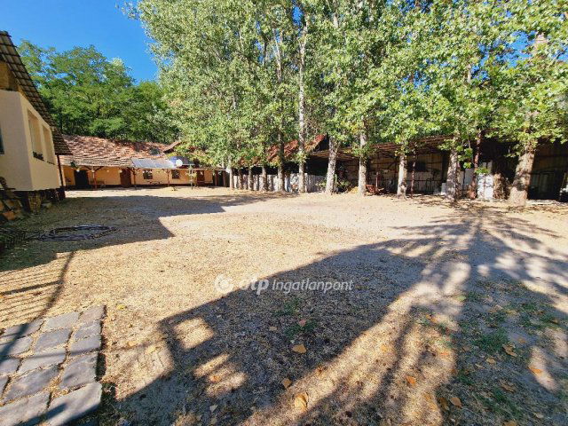 Eladó mezogazdasagi ingatlan, Debrecenben 95 M Ft, 3 szobás