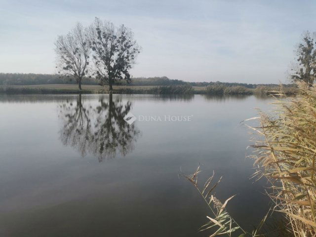 Eladó telek, Naszályon 40 M Ft / költözzbe.hu