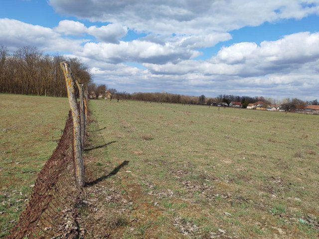 Eladó mezogazdasagi ingatlan, Csemőn 3.2 M Ft