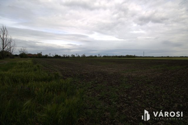 Eladó mezogazdasagi ingatlan, Tótkomlóson 20.6 M Ft