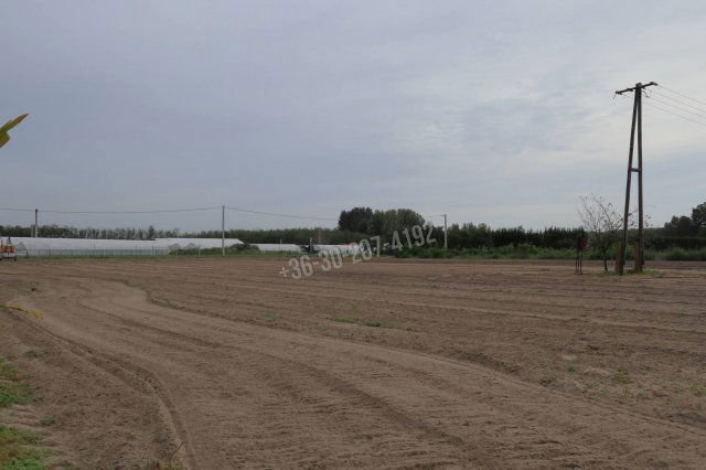 Eladó telek, Üllésen 11 M Ft / költözzbe.hu